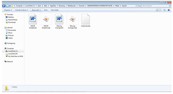 Bild 4: EA Installationsmapp