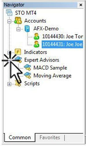 Bild 1: MT4 Experts Advisors