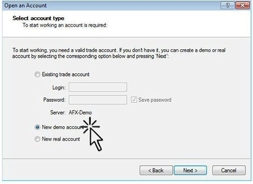 Bild 7: MT4 Trading Account Type (kontotyp)