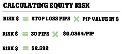 Calculating Equity Risk