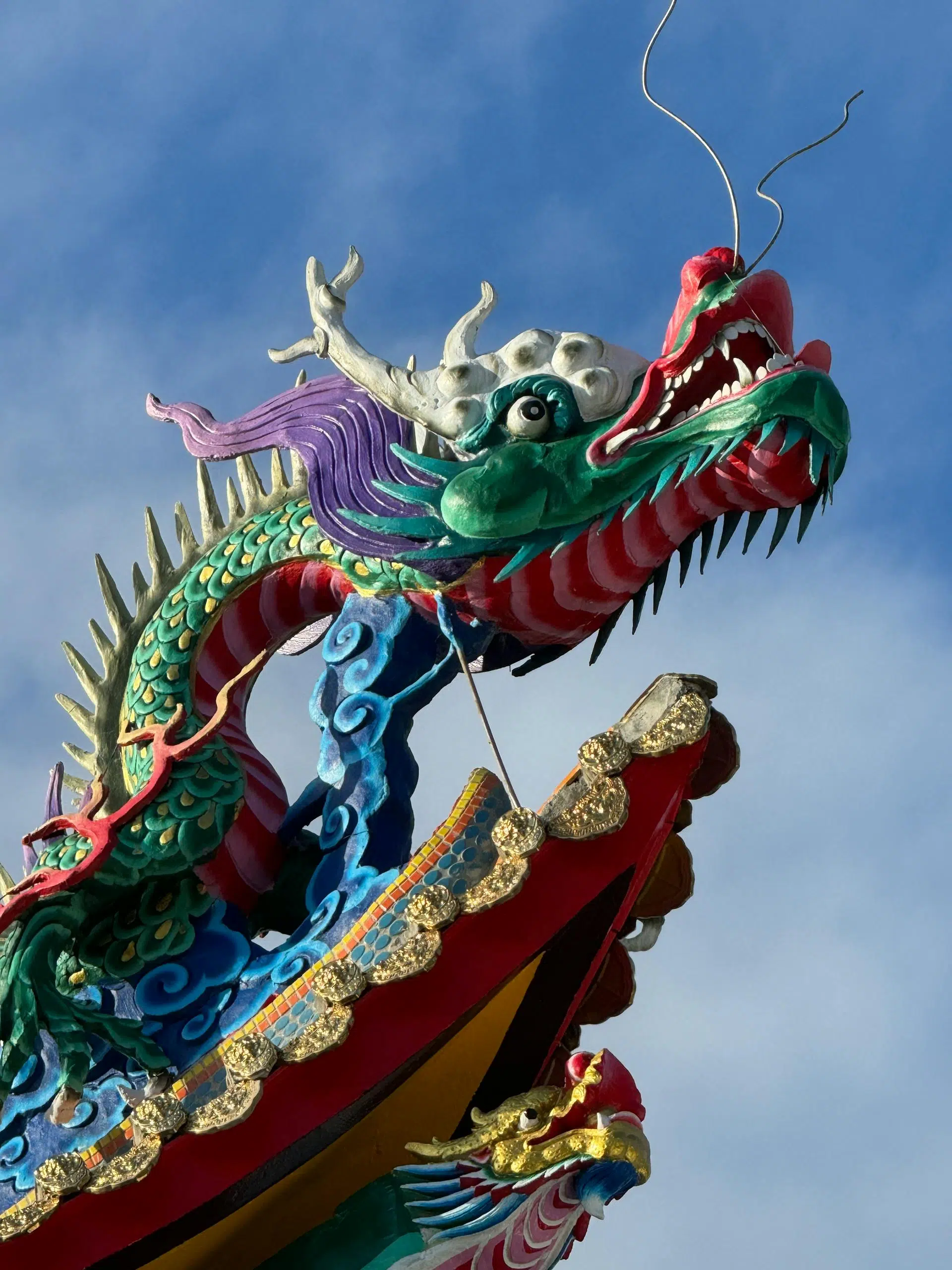 Chinese dragon